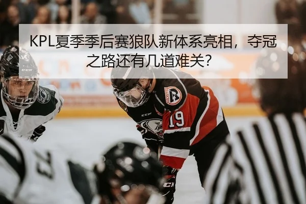 xia-ji-ji-hou-sai-lang-dui-xin-ti-xi-liang-xiang-duo-guan-zhi-lu-hai-you-ji-dao-nan-guan-2-124.jpg